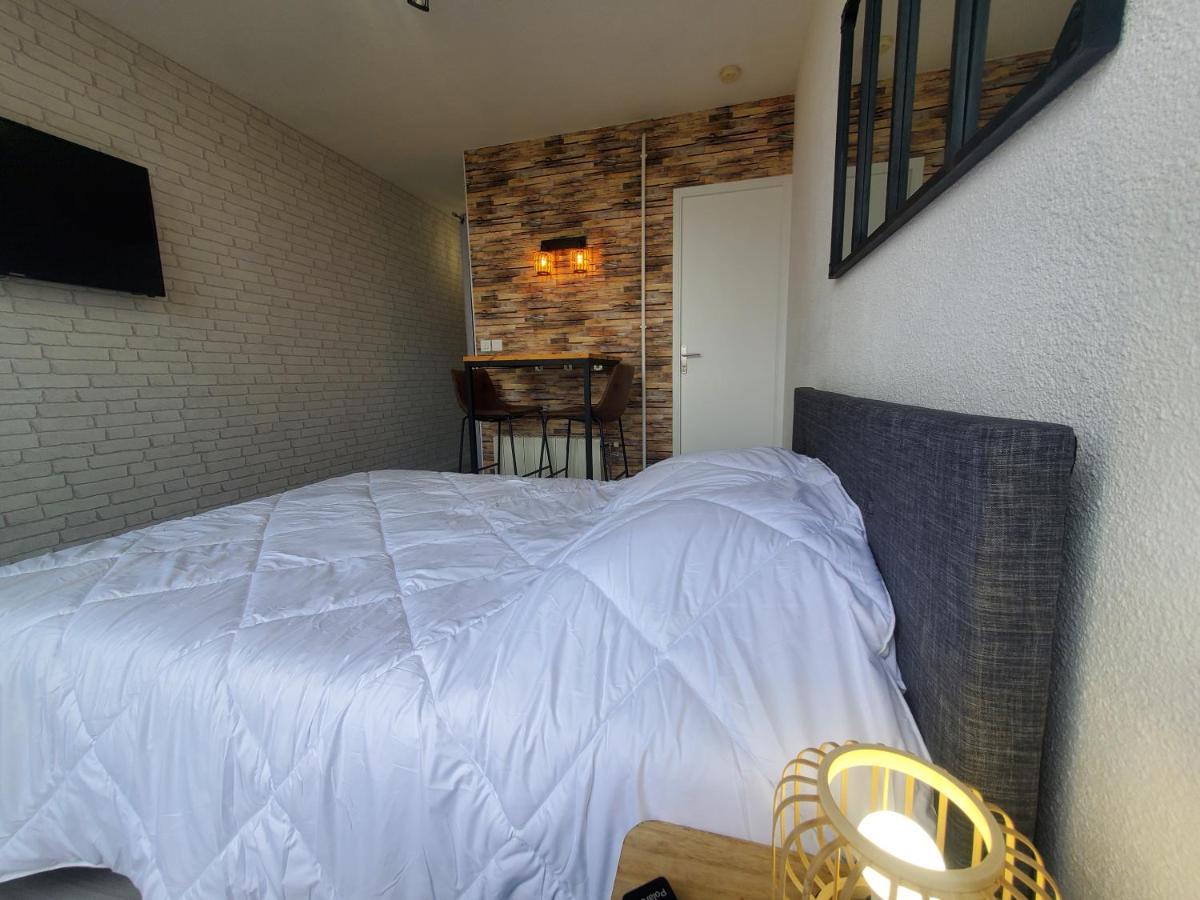 Avec Balcon, Vue Sur Jardins Et Cathédrale Appartement Albi
