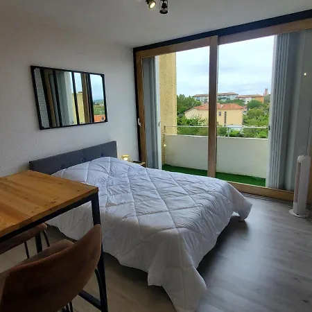 Studio Avec Balcon, Vue Sur Jardins Et Cathedrale Albi Buitenkant foto