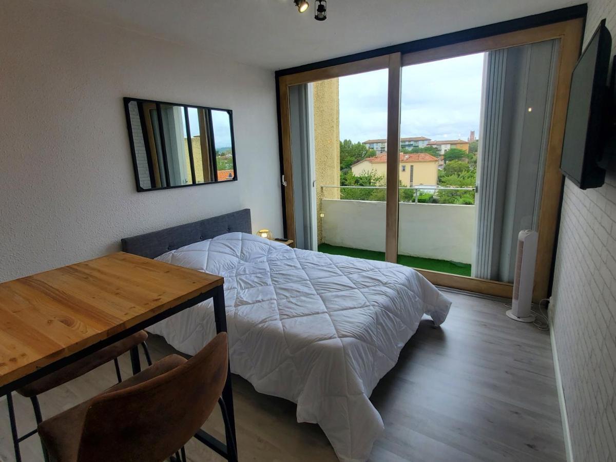 Appartement Avec Balcon, Vue Sur Jardins Et Cathédrale Albi