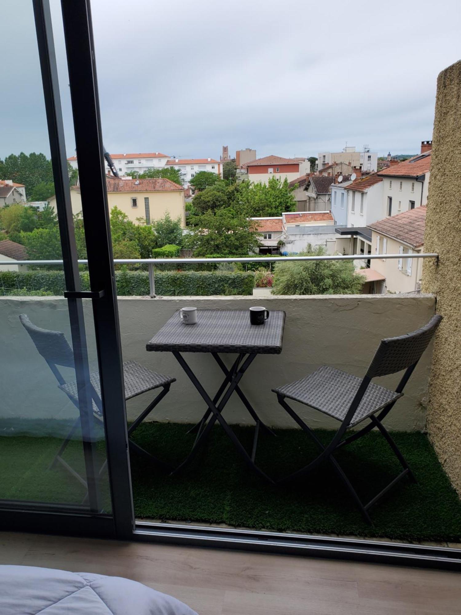 Avec Balcon, Vue Sur Jardins Et Cathédrale Albi